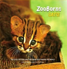 ZooBorns: Cats: The Newest and Cutest Exotic Cats from Zoos around the World! B