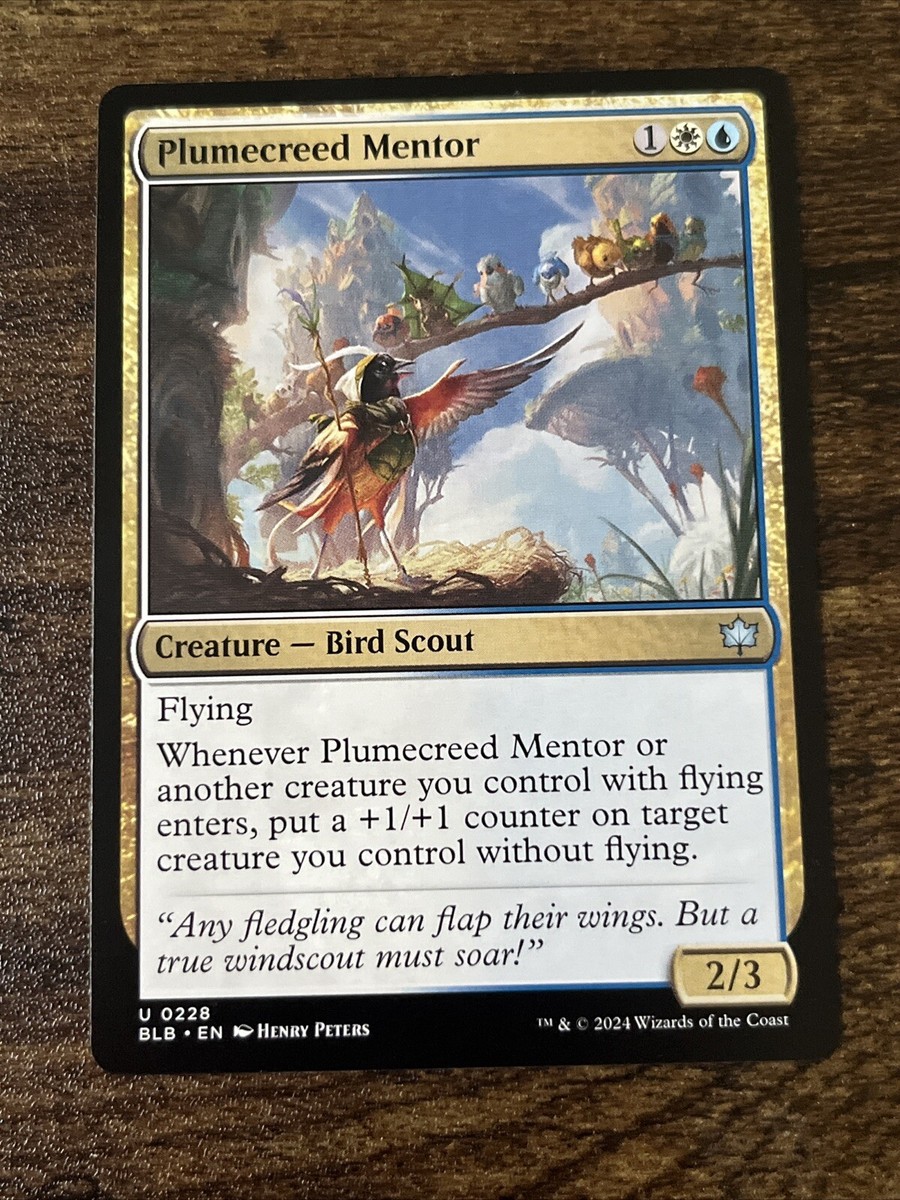 Plumecreed Mentor 0228 Bloomburrow BLB MTG Magic The Gathering S2996* | eBay