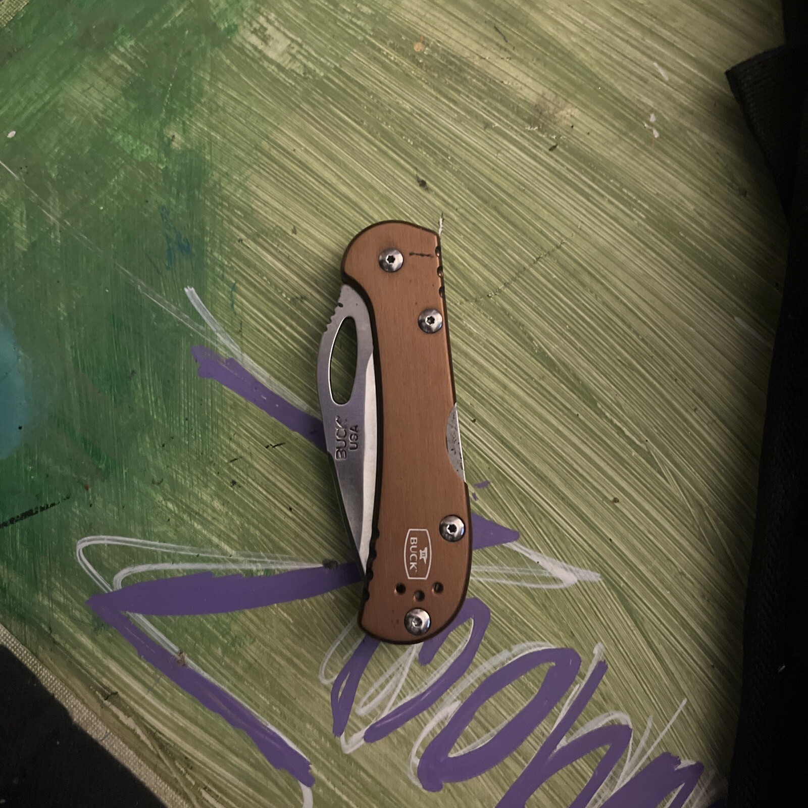 Buck 822 Sentry fixed blade knife w/ sheath in Small Buck Pocket Knife