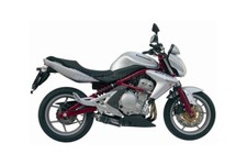 Terminale Scarico MIVV Oval Carbonio per Kawasaki Er-6N F 2005 > 2011