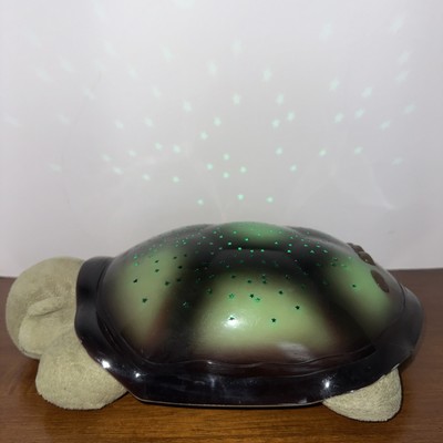 Cloud -b Twilight Turtle Night Green Light