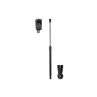2X Gasfeder Kofferraum Hinten FüR Toyota Avensis T25 03 Bis 08 Magnum 1ZZ-FE Neu