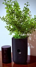 Ring Stick Up Security Camera (3rd-Gen) - Woven Pot Housing