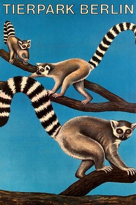 365130 Tierpark Berlin Lemurs Vintage Advertising Art Decor Print Poster