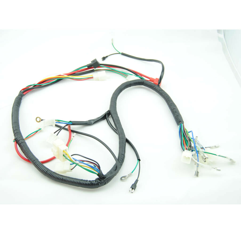 Engine AC Wiring Harness Wiring Loom 150cc 250cc PIT Quad Dirt - Foto 10