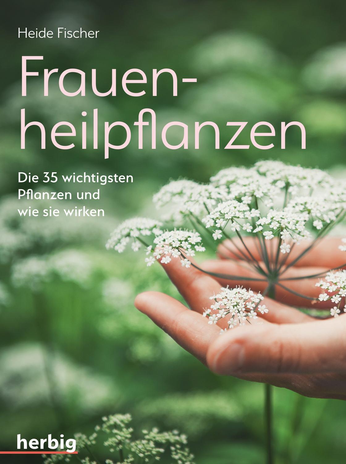 Thumbnail - Frauenheilpflanzen | Die 35 Wichtigsten Pflanzen Und Wie Sie Wirken |