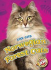 Norwegian Forest Cats Hardcover Domini Brown