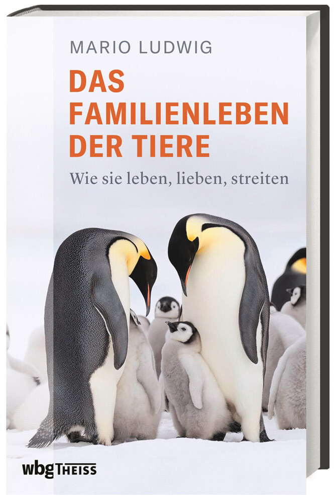 Thumbnail - Das Familienleben Der Tiere. Wie Sie Leben, Lieben, Streiten. Mario
