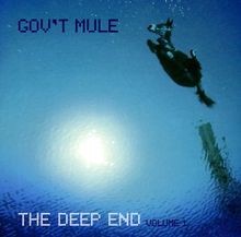 The Deep End Vol. 1 von Govt Mule | CD | Zustand gut