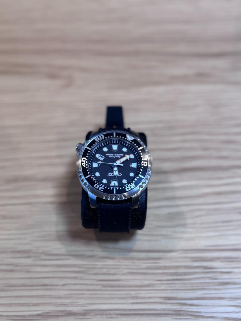 Citizen Fugu Promaster Bn0156-05E | eBay