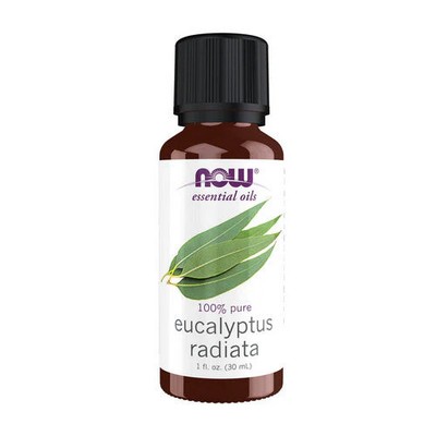 Eucalyptus Radiata 1 Oz  by Now Foods