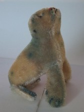 Steiff Seehund Robby 4310 00 mit KF ohne Schild, 1960er