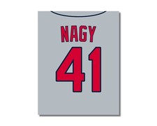 CHARLES NAGY Photo Picture CLEVELAND INDIANS comparable 8x10 11x14 16x20 (JZ G)