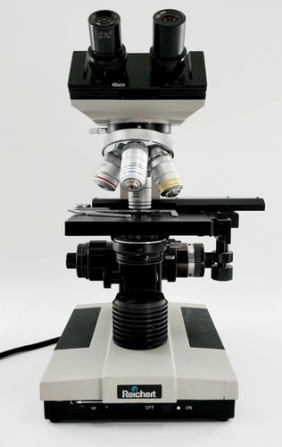 Reichert Jung 310 Compound Microscope - Picture 6 of 8