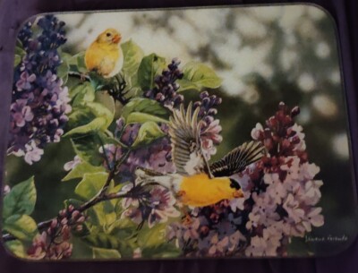 Stunning Tempered Glass Cutting Board Birds Janene Grenede England