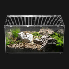 Reptile PC Terrarium,Spider Tank Starter Kit,Leopard Gecko Container,Tarantula
