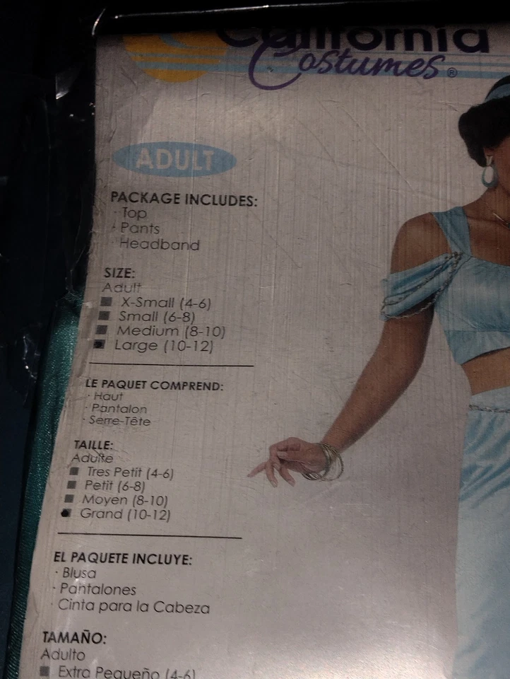 Disfraz de princesa árabe para mujer adulta disfraz de princesa jazmín disfraz de Halloween Foto 3 de 4