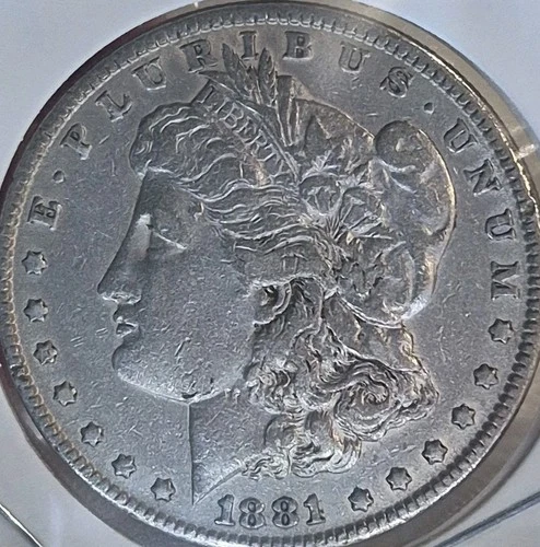 1881-P Morgan Silver Dollar NO RESERVE High Bid Wins Private~Collection #1932