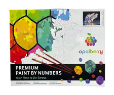 Paint by Numbers 16x20" Framed Canvas for Adults - Shane Lamb's Sunset Symphony