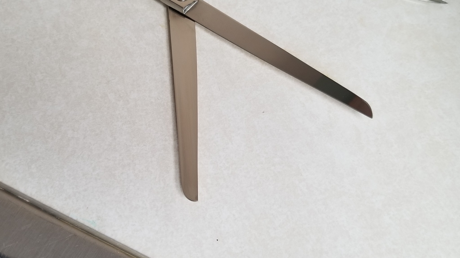 Vintage Letter Opener/ Scissors In Leather Case Made In Solingen Germany Nice O4