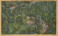 Newfound Gap HWY Great Smoky Mountains Nat Park CO Linen Vintage Postcard