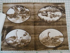 Tri Chem Picture Ready To Paint Craft Liquid Embroidery 7325 Barnwood Birds Duck