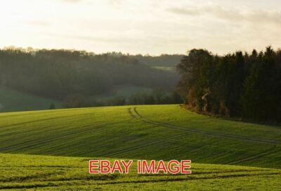 PHOTO  BOXING DAY SUNSHINE QUICK'S GREEN BERKSHIRE AUTUMN PLANTED CROPS GLOWING