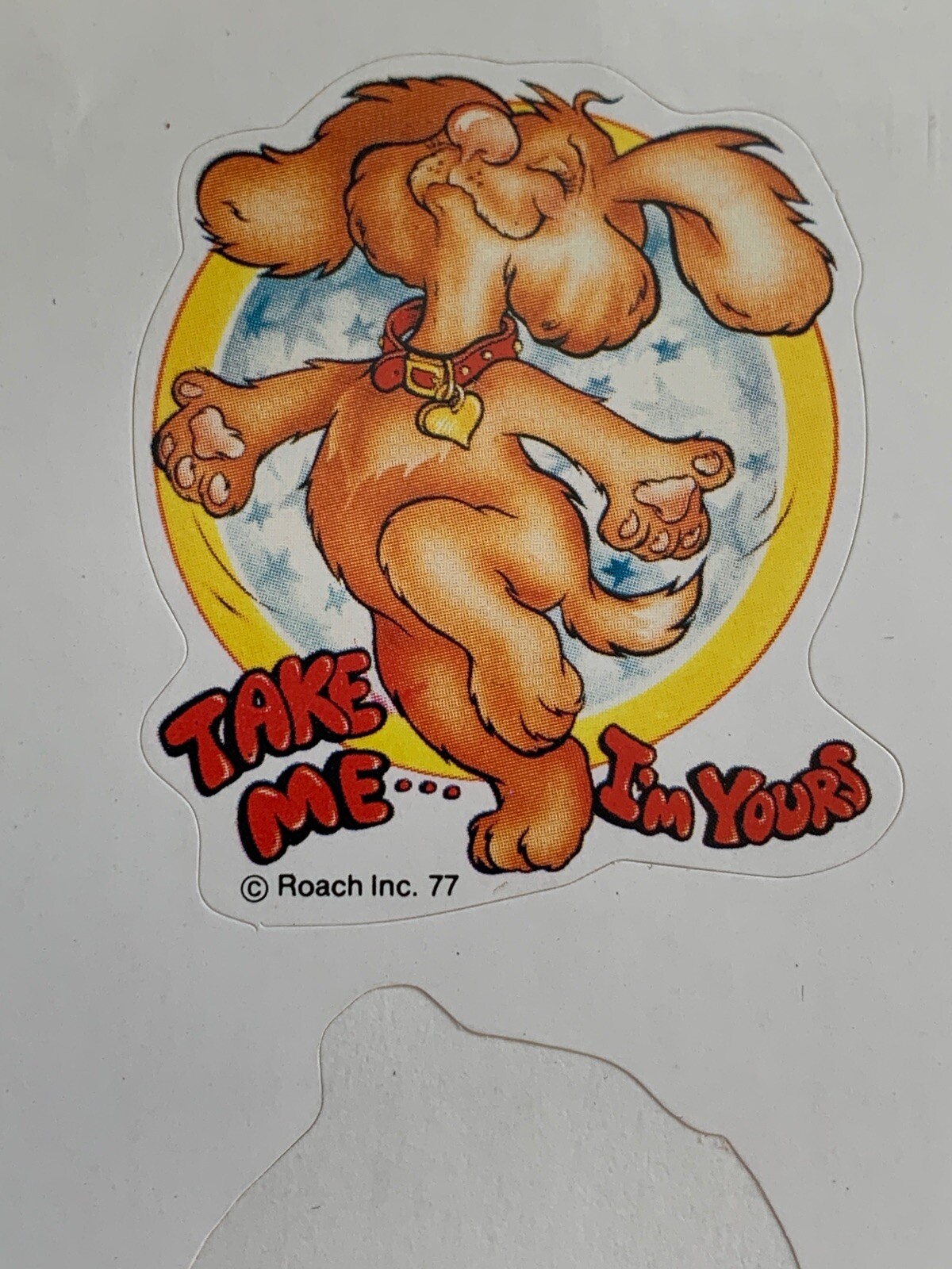 Picture 3 of 7