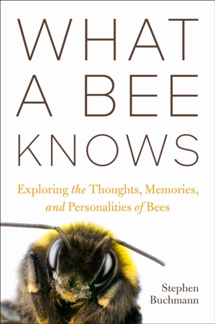 What a Bee Knows by Stephen L Buchmann (Hardback Book) - Image 5
