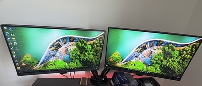 BenQ MOBIUZ EX2510 24.5'' IPS LED Gaming Monitor - Dark Gray