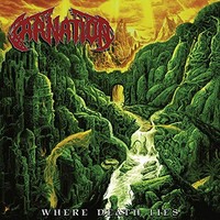 Carnation - Where Death Lies - Vinyl Record - G3Z
