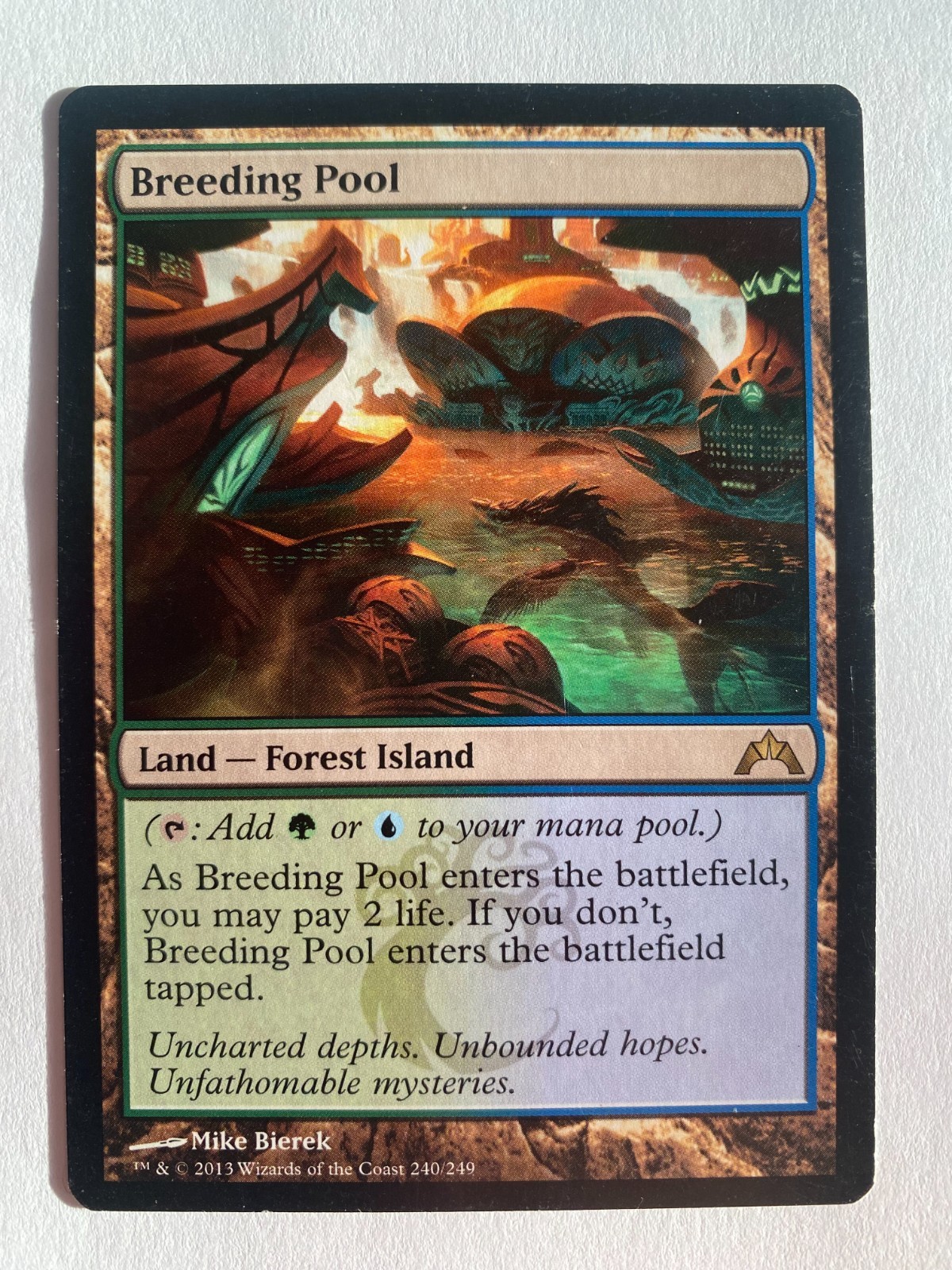MTG Magic the Gathering [Breeding Pool] (Gatecrash) NM