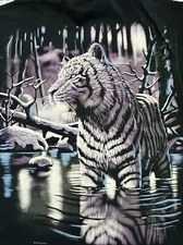 Graphic Tees Make you own lot. $8 each