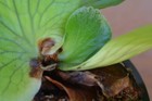 Bild 5 von 5