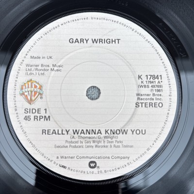 Gary Wright - Really Wanna Know You 7  Vinyl 1981