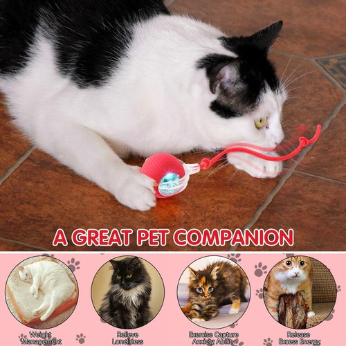 Cat Dog Toy Smart Electric Pet Self-moving Teasing Automatic Rolling Ball - Picture 15 of 22