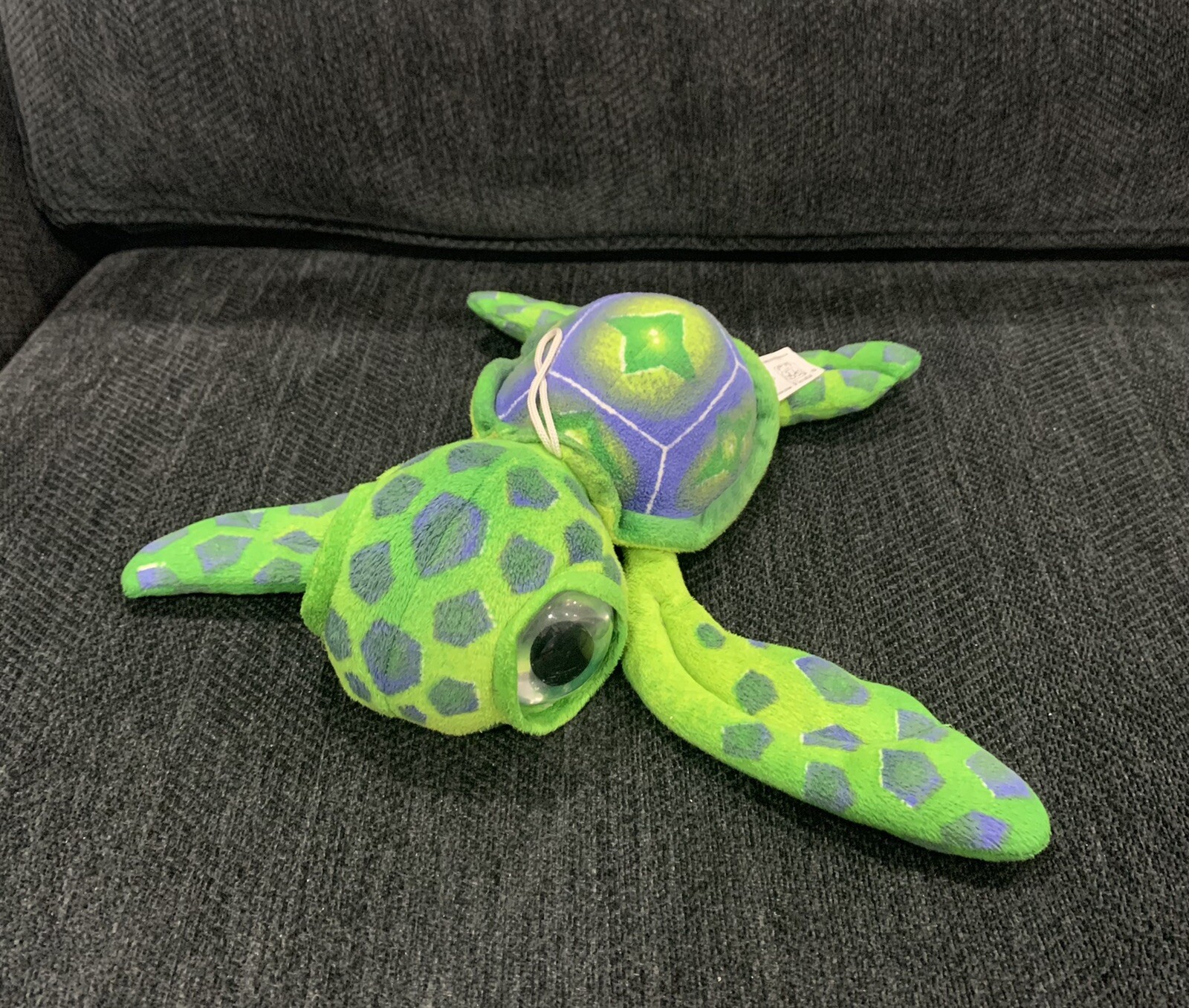 big eyed stuffed turtle