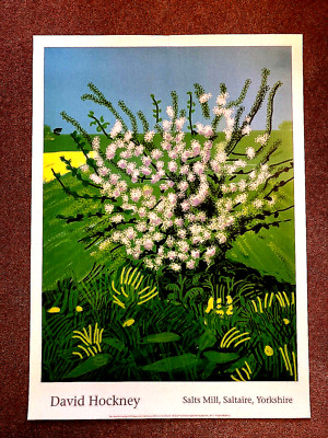 David Hockney Die Ankunft des Frühlings iPad Zeichnung Poster