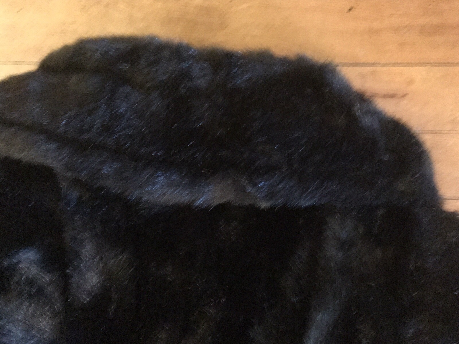 Picture 6 of 8