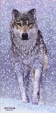 WOLF in SNOW STORM Large 9 by 18 Inch Lenticular 3-D Picture FANTASTIC 3-D!