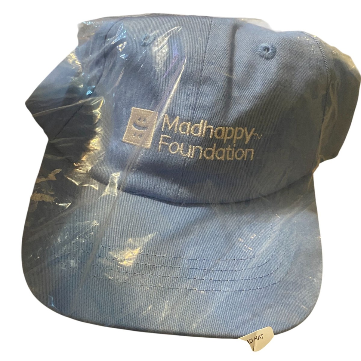 Madhappy Foundation Baby Blue Dad Hat Etheridge Foundation Sky Blue Dad Hat – Melissa Etheridge main image 4