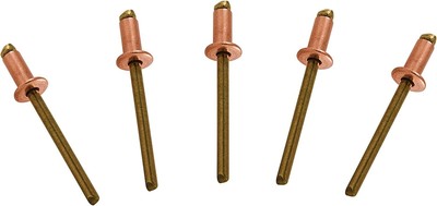 100 Pack 1/8 Inch Copper Pop Rivets Brass Mandrel Blind Rivets Dome Head