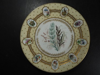 Antiker Worcester Porzellan Teller handbemalt Vögel, Schmetterling, Floral (Lot F)