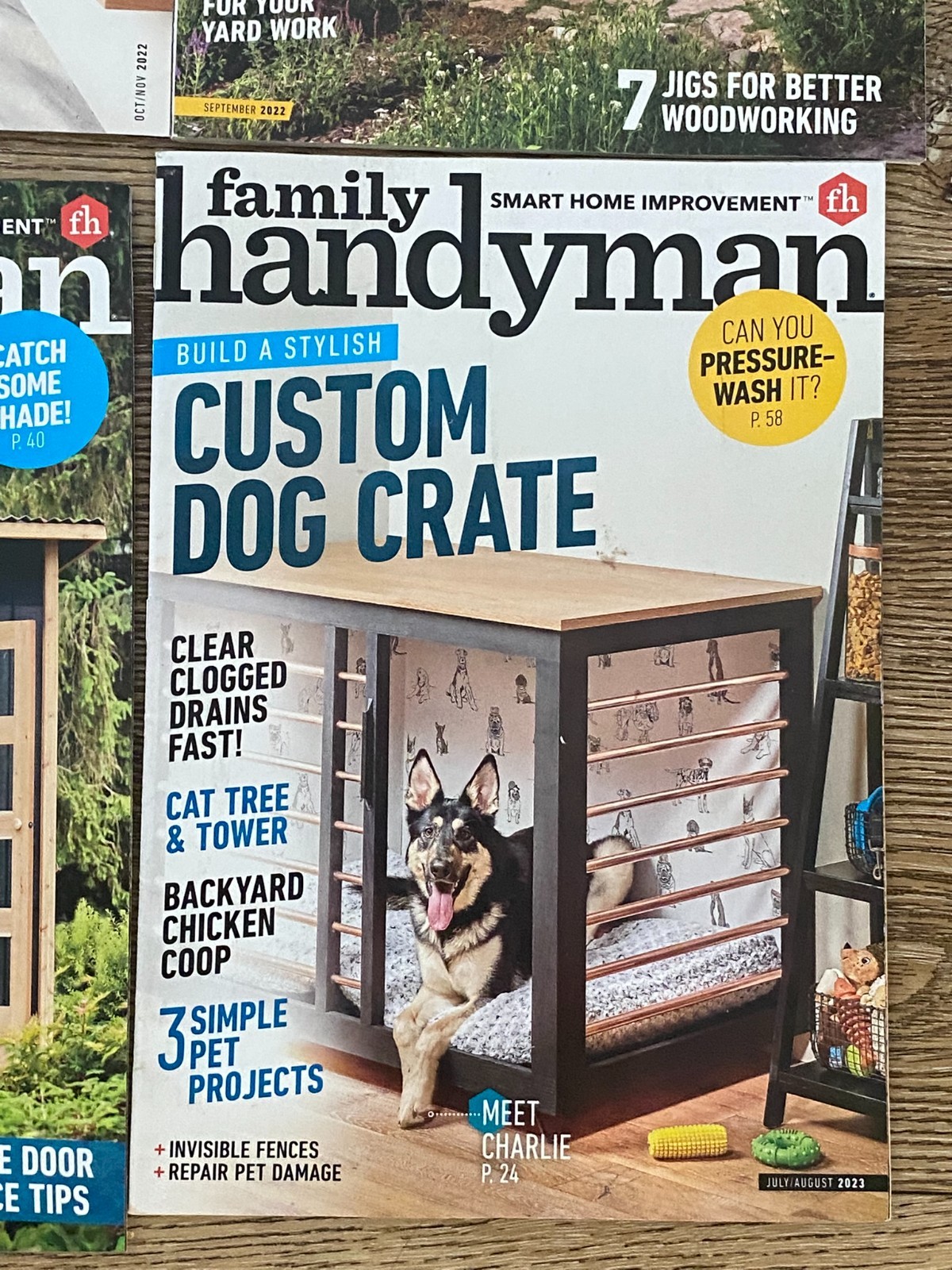 Family Handyman Magazine 2017 - 2024 Lot of 25 DIY Home Garden Renovations