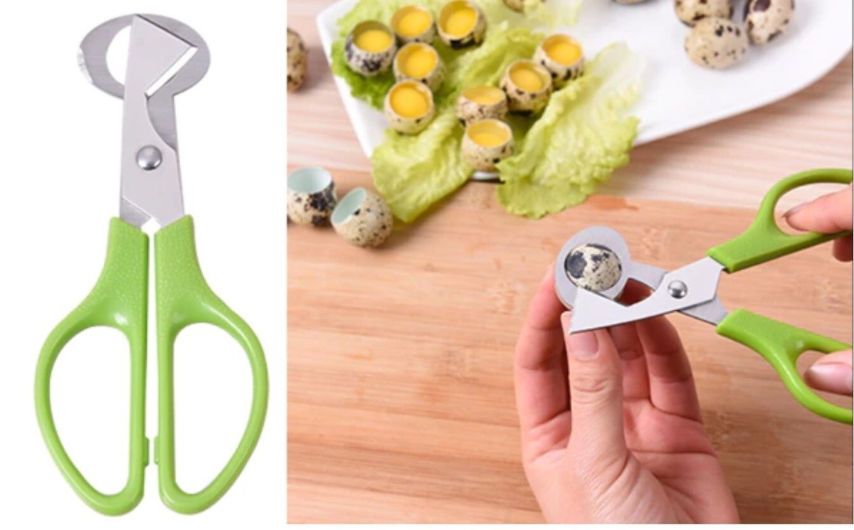 10 Forbici Per Uova Di Quaglia In Acciaio Inox - Taglio Pulito E Preciso Per Piccole Uova - 4