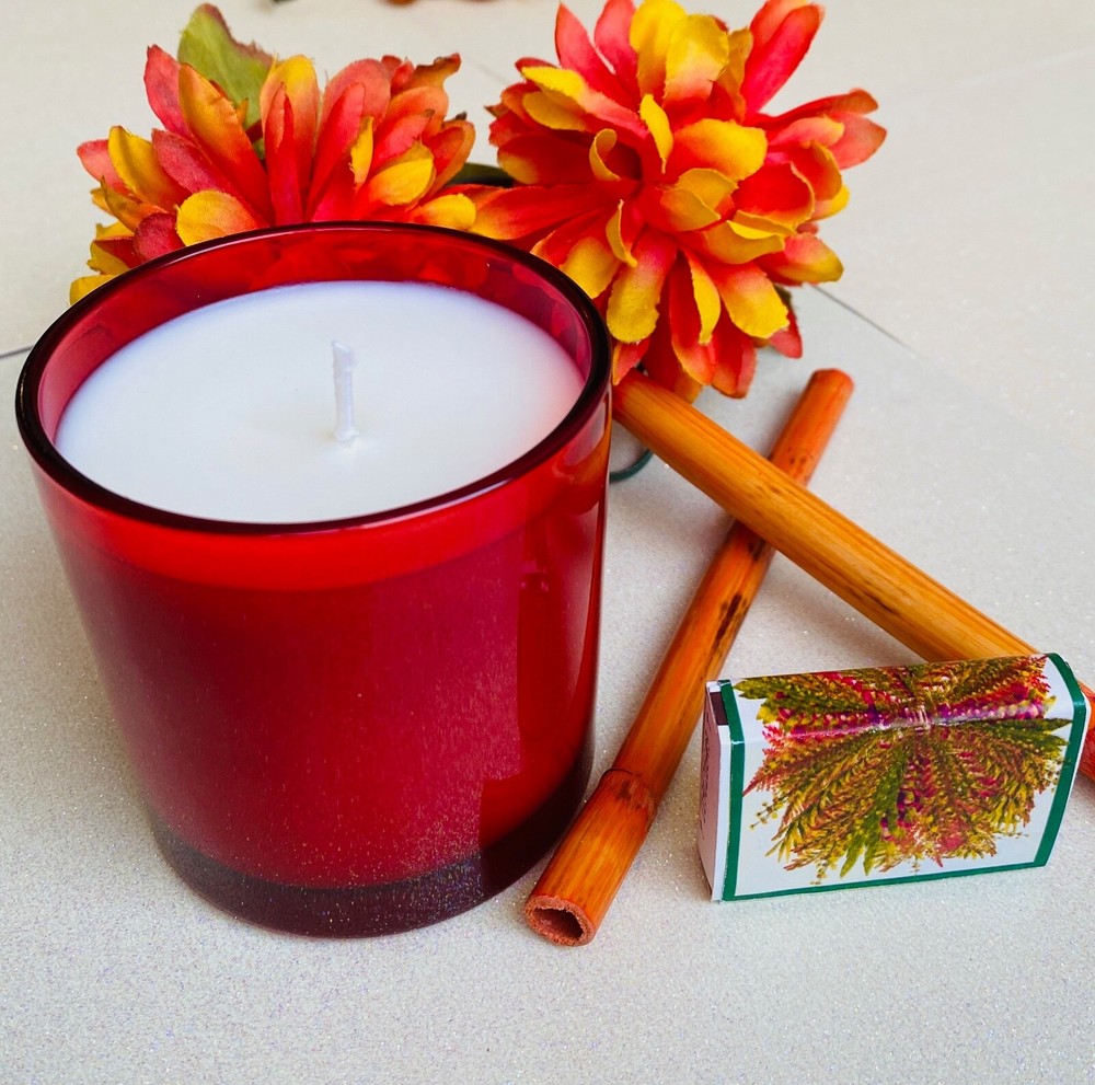 10 oz SOY CANDLE / CHRISTMAS CANDLES / CANDLE GIFTS / HOLIDAY CANDLES / CANDLES 10 oz SOY CANDLE / CHRISTMAS CANDLES / CANDLE GIFTS / HOLIDAY CANDLES / CANDLES