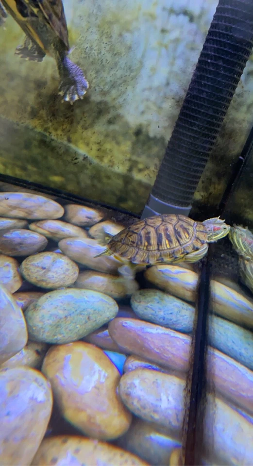 WINDOW CLEANER 4D (little use) FOR SALE NOW FINAL PRICE !!!!! - Image 2 of 2