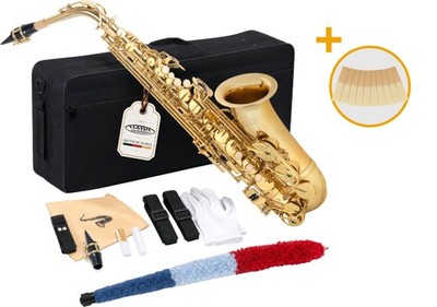 Schönes Altsaxophon mit Es-Stimmung im Set mit 10 Stück 2,5er Blätter und Tasche