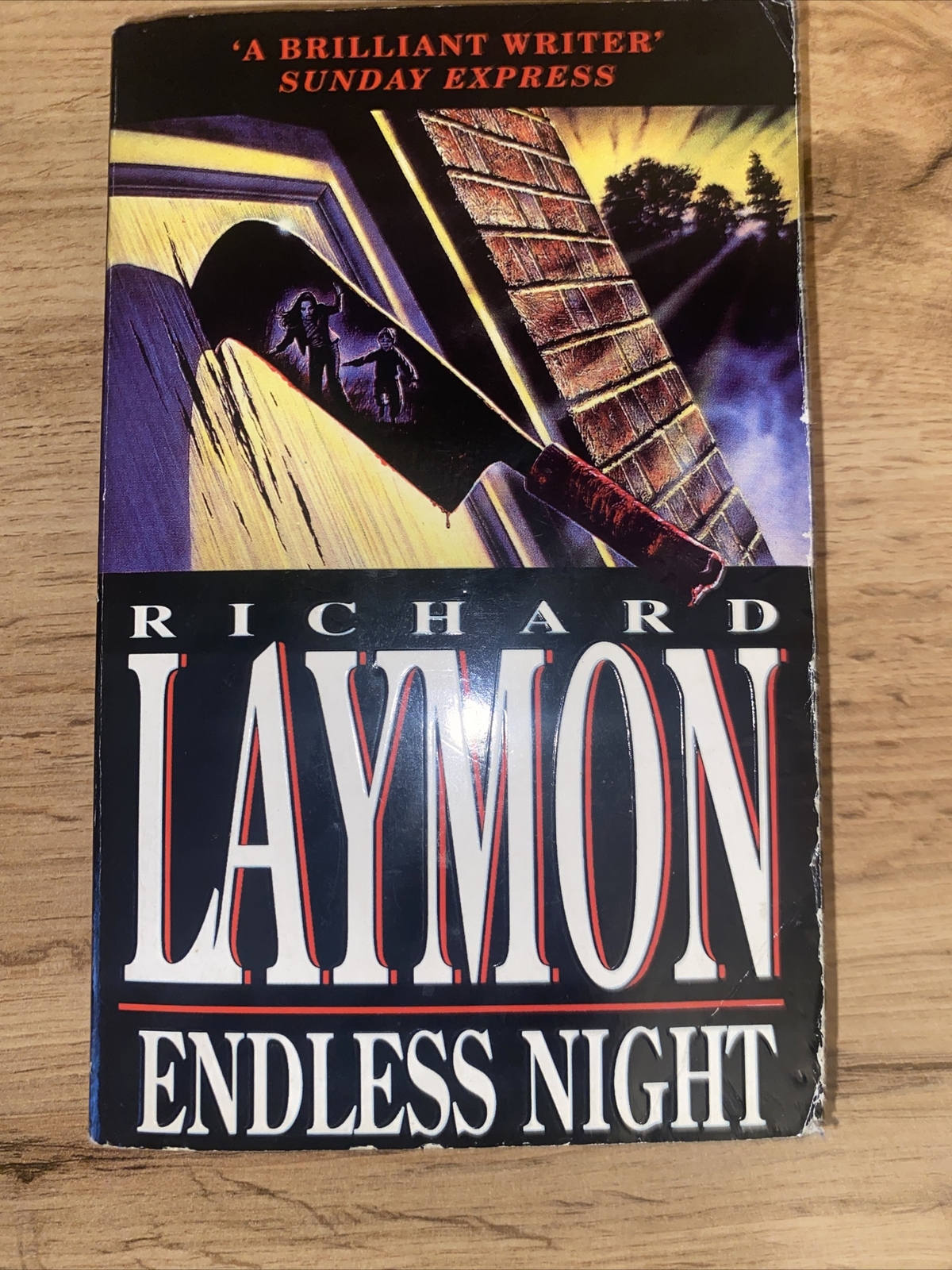 Endless Night Richard Laymon Classic Vintage Horror Paperback 1993