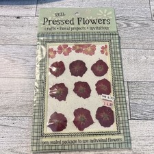 14PCS real Pressed dry flowers, Floral supply for art craft